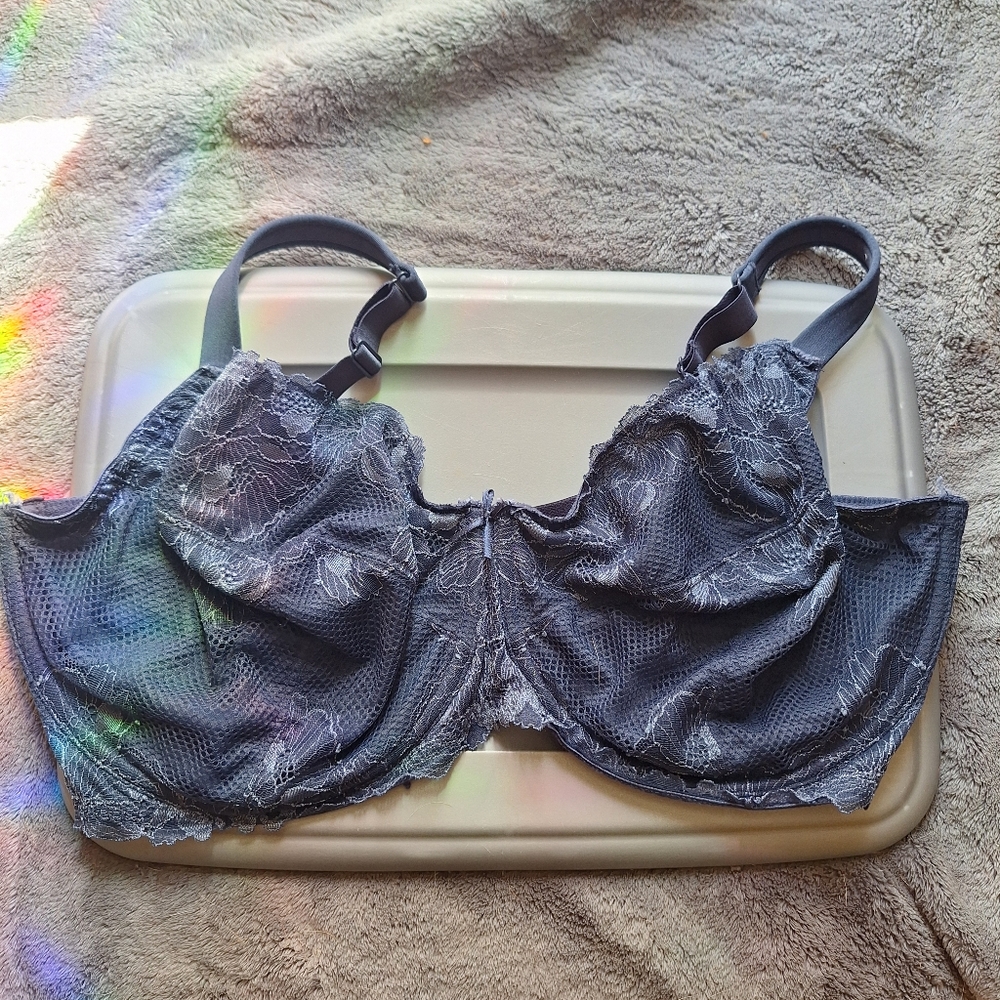 Cacique Layne Bryant Bra